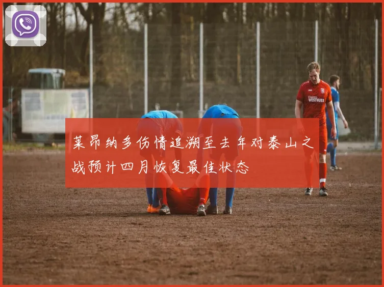 莱昂纳多伤情追溯至去年对泰山之战预计四月恢复最佳状态