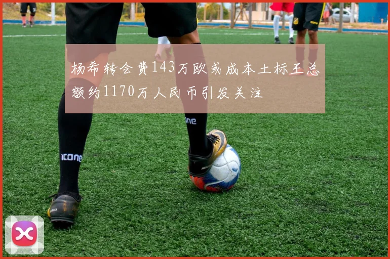 杨希转会费143万欧或成本土标王总额约1170万人民币引发关注