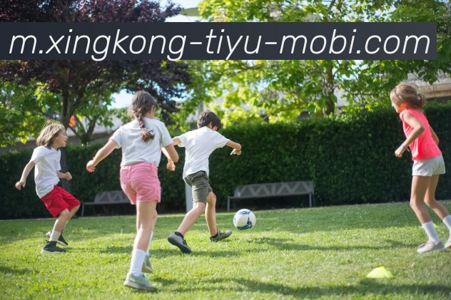 星空体育APP 封面图